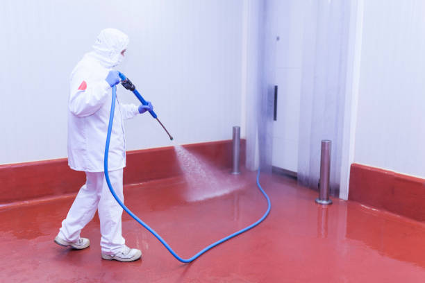 Best Sidewalk and Walkway Cleaning  in Sanford, FL